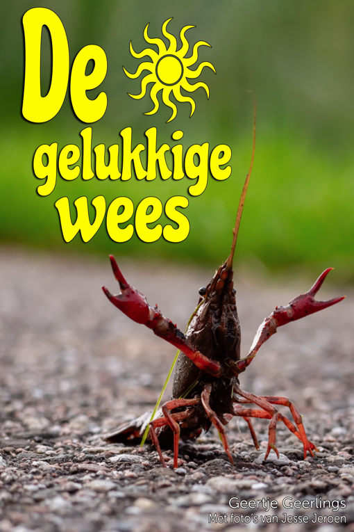 cover-vogelvrij-De gelukkige wees